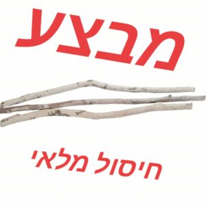 ענף טבעי עם קליפה 40 ס"מ
